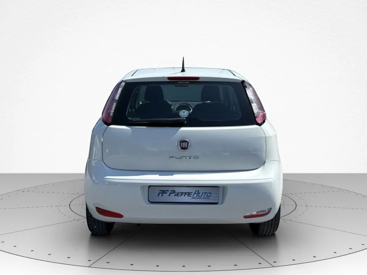Fiat Punto usata a Macerata (6)