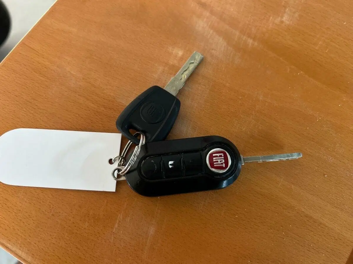 Fiat 500 usata a Lecco (14)