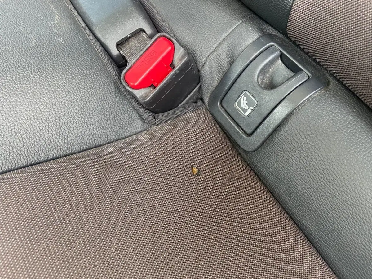 Toyota Yaris Cross usata a Piacenza (11)