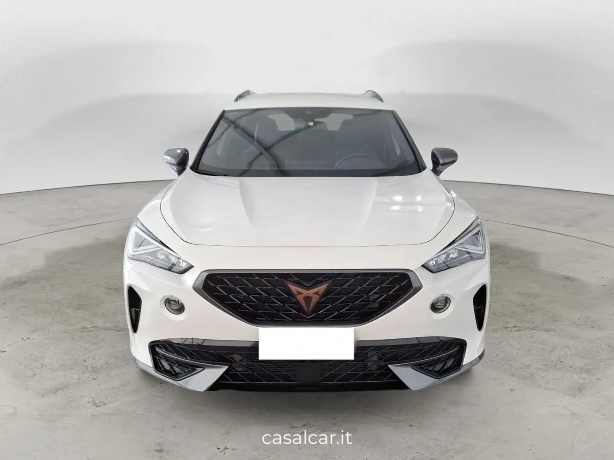 Cupra Formentor usata a Salerno (2)