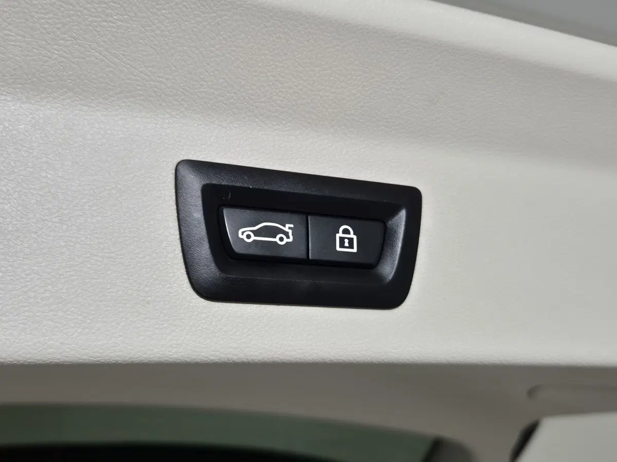 BMW X3 usata a Torino (19)