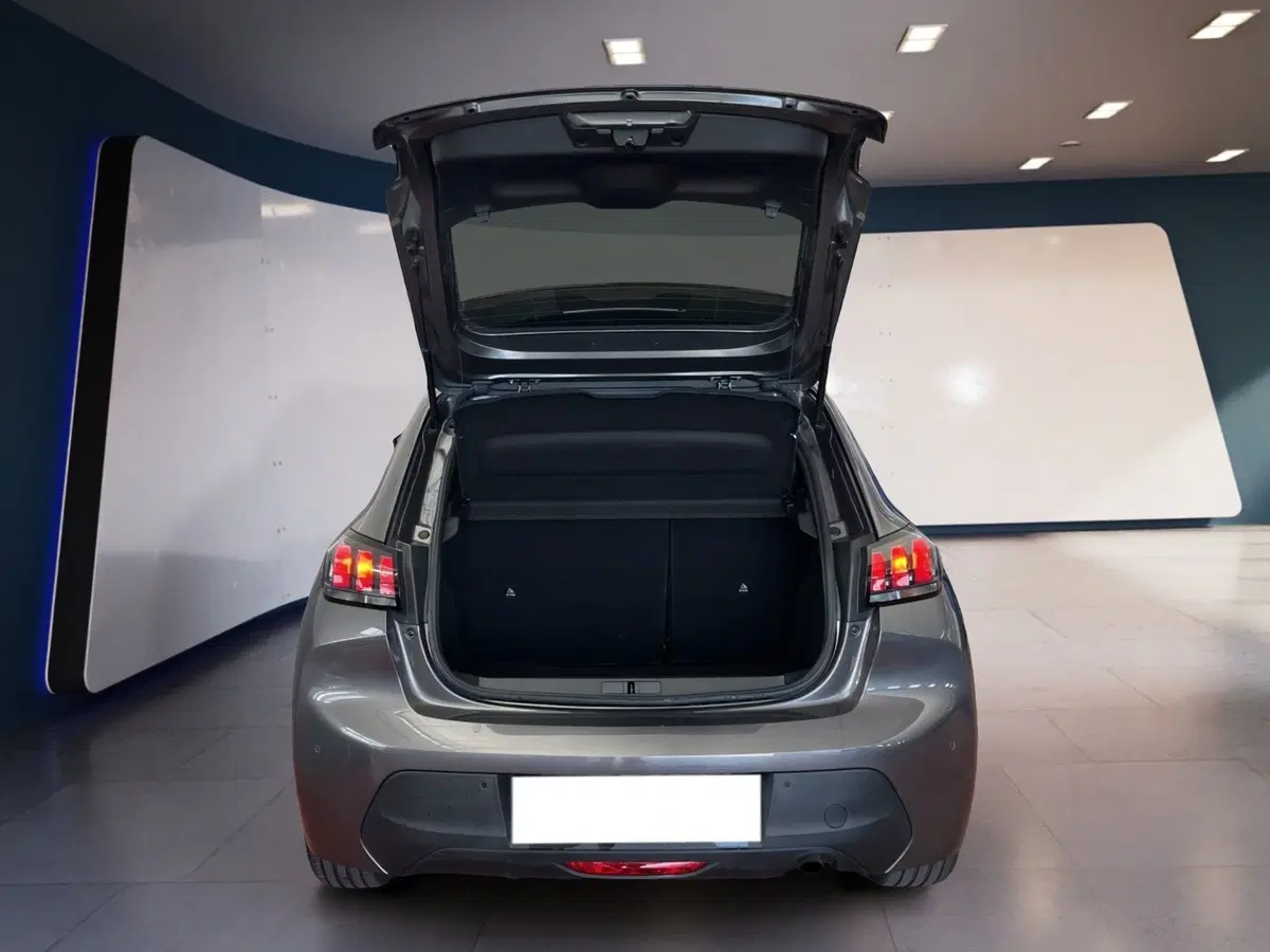 Peugeot 208 usata a Torino (7)