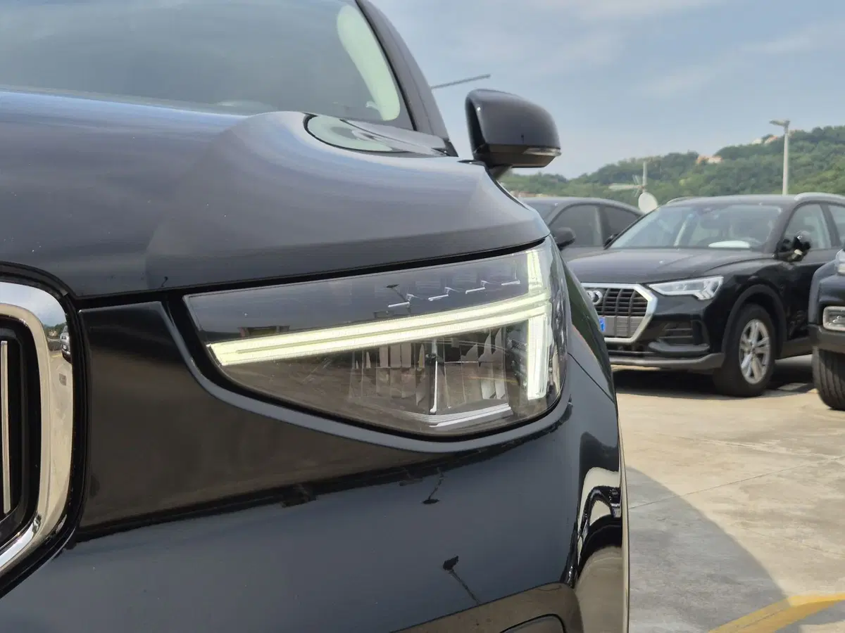 Volvo XC40 usata  (17)