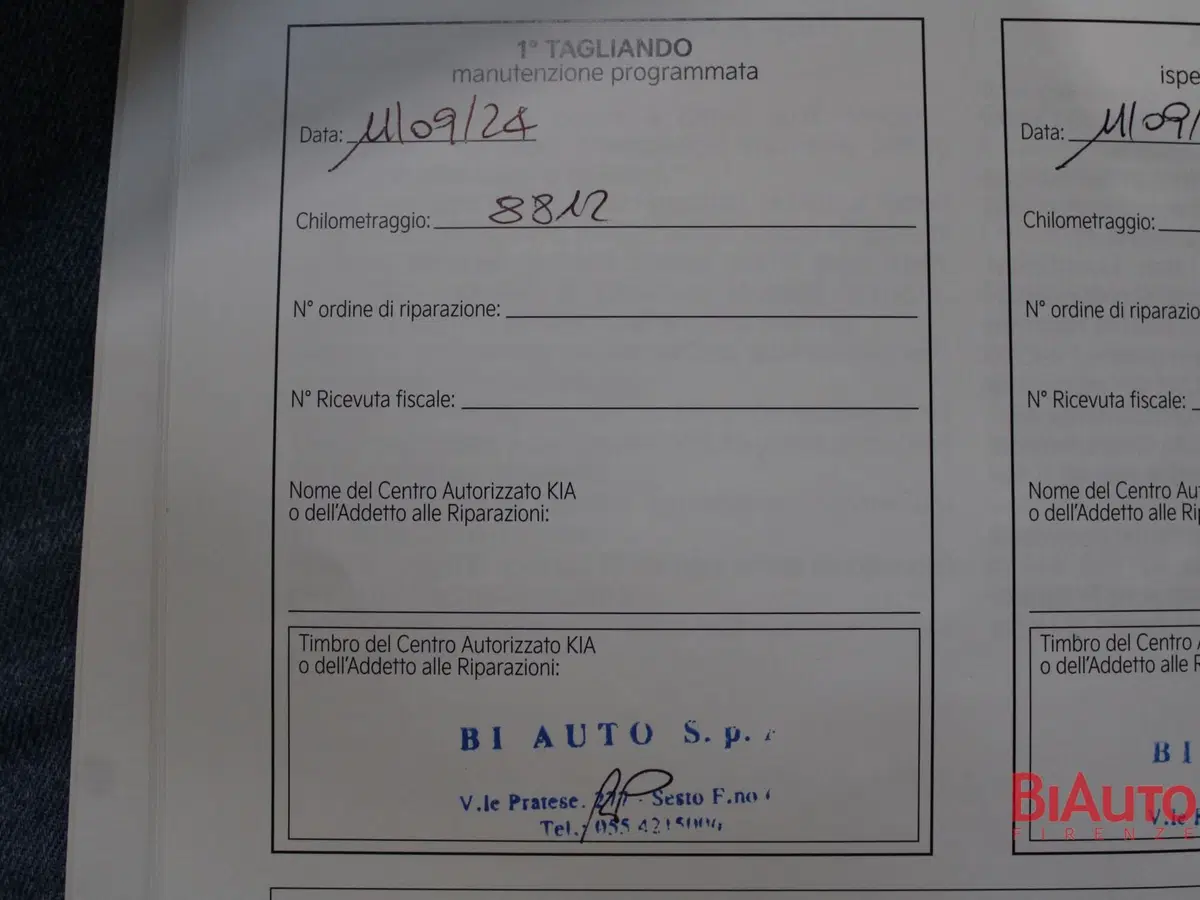 Kia Sportage usata a Firenze (16)