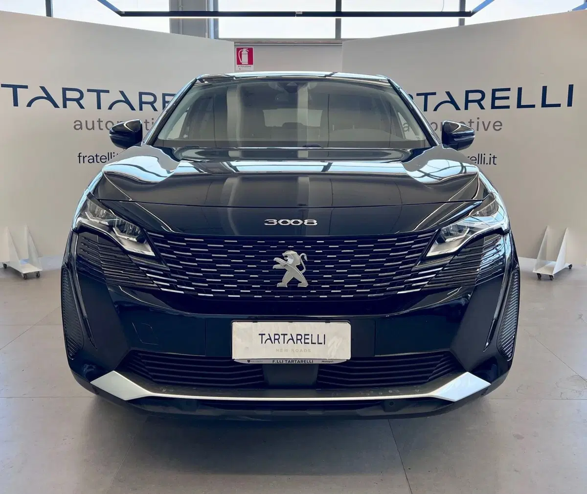 Peugeot 3008 usata a Bari (2)