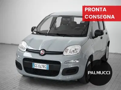 Fiat Panda Cross Cross 1.0 FireFly S&amp;S Hybrid del 2021 usata a Prato