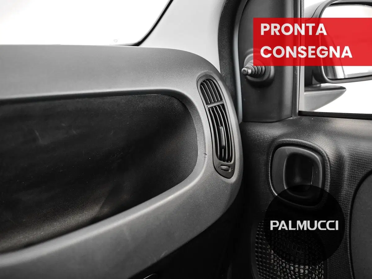 Fiat Panda Cross usata a Prato (12)
