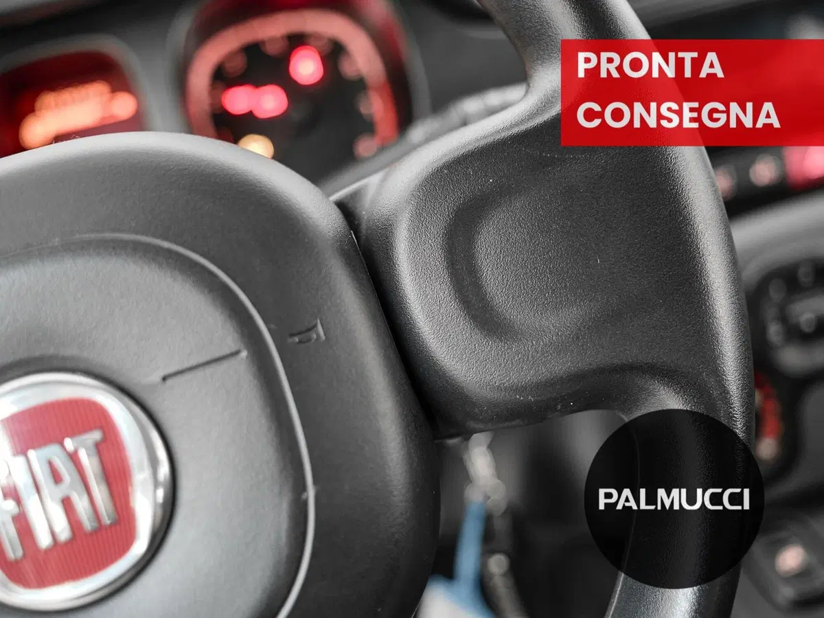 Fiat Panda Cross usata a Prato (13)