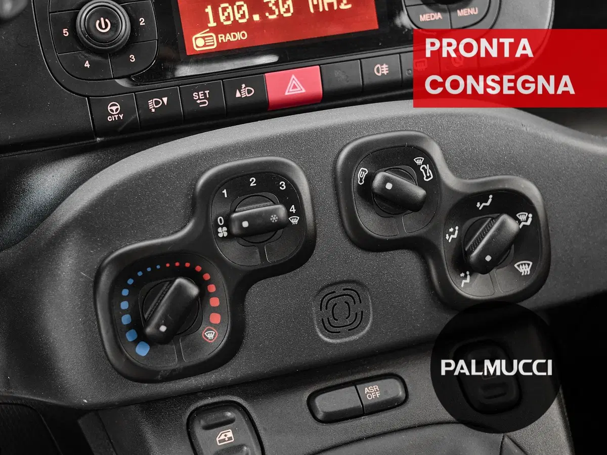 Fiat Panda Cross usata a Prato (15)