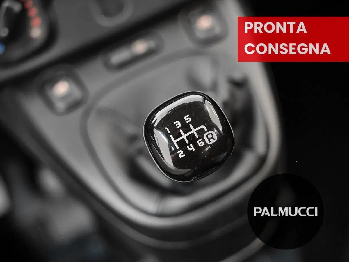 Fiat Panda Cross usata a Prato (16)