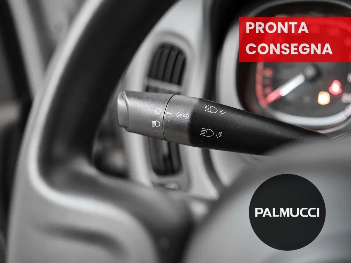 Fiat Panda Cross usata a Prato (17)