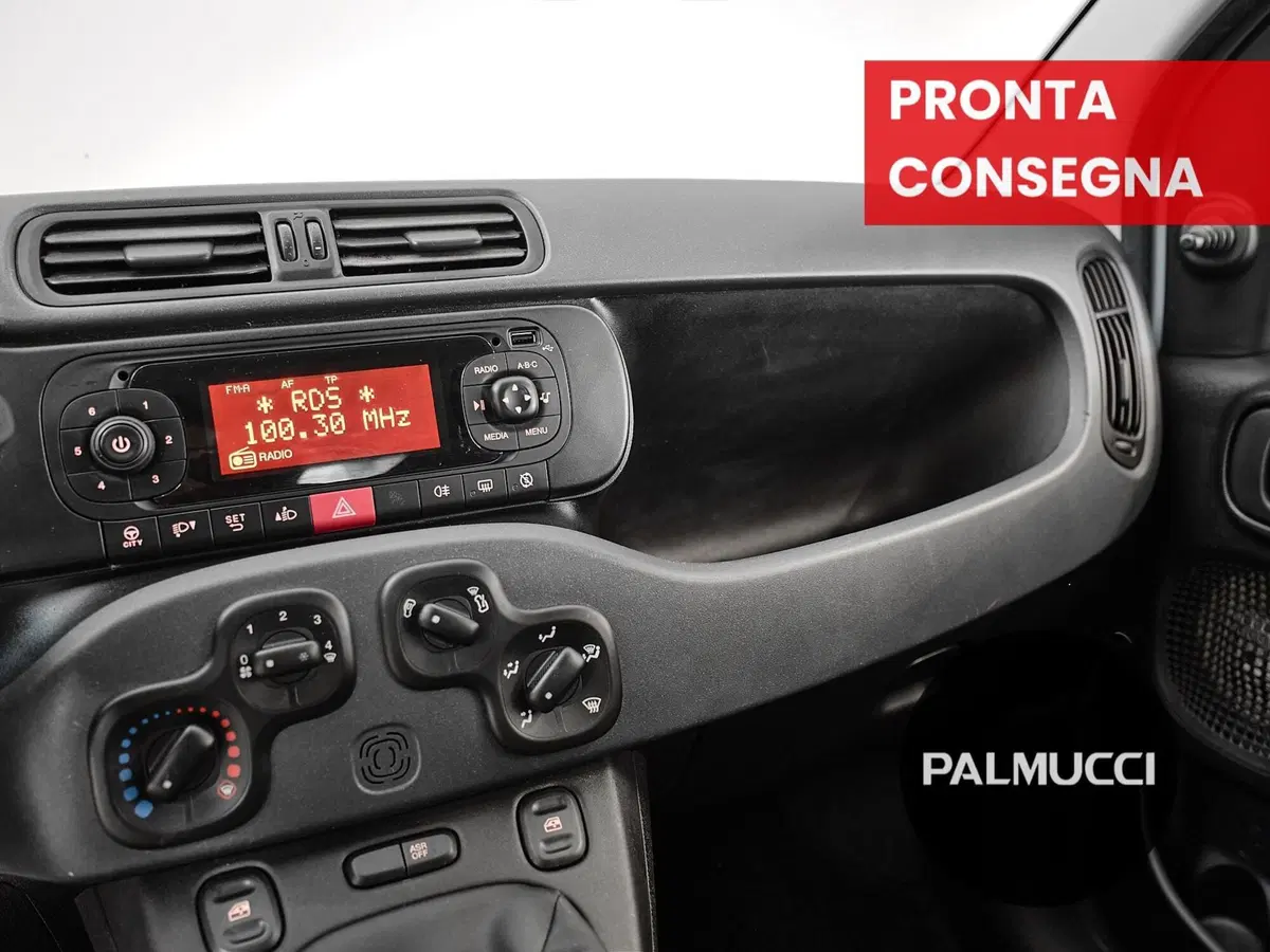 Fiat Panda Cross usata a Prato (19)
