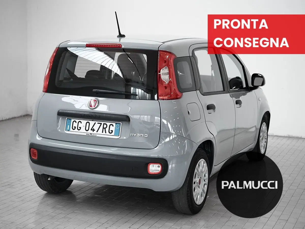 Fiat Panda Cross usata a Prato (3)