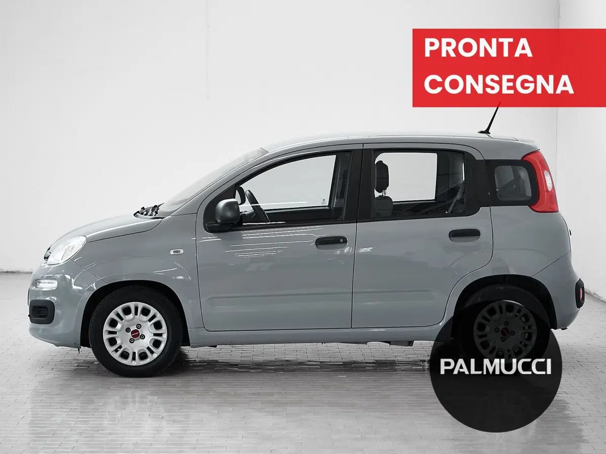 Fiat Panda Cross usata a Prato (4)