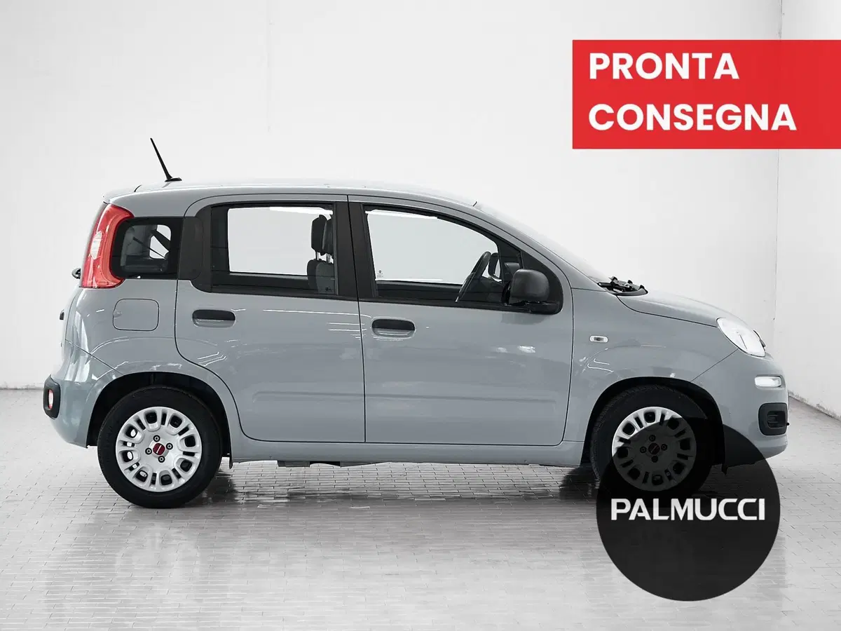 Fiat Panda Cross usata a Prato (5)