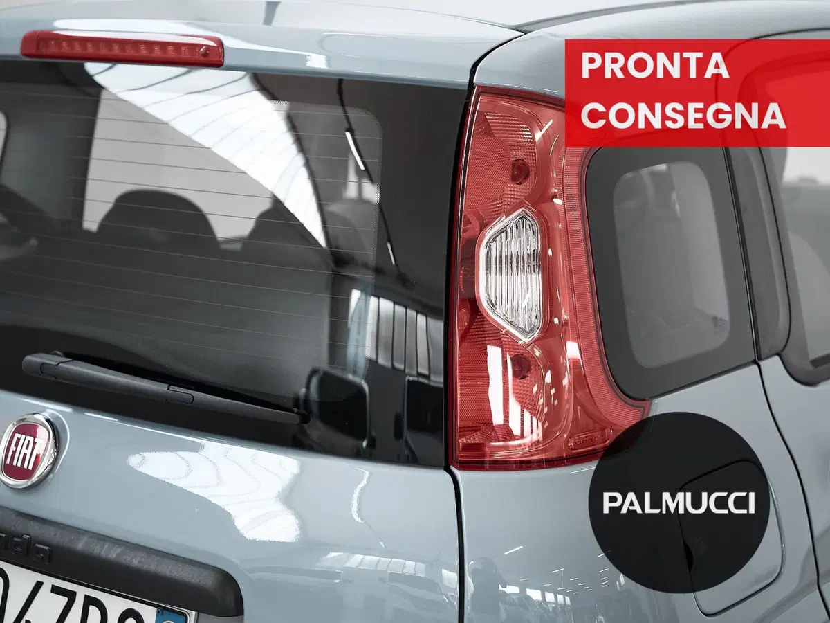 Fiat Panda Cross usata a Prato (6)
