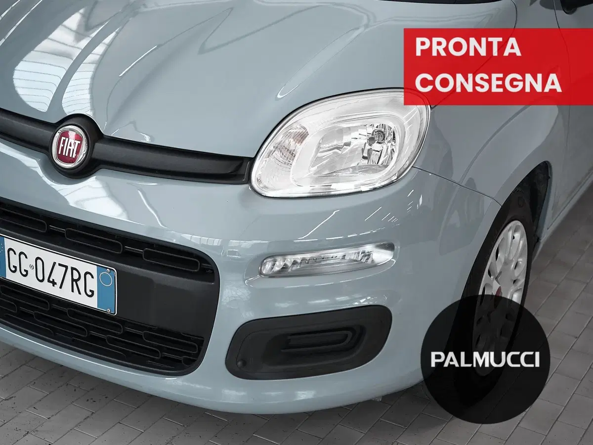 Fiat Panda Cross usata a Prato (7)