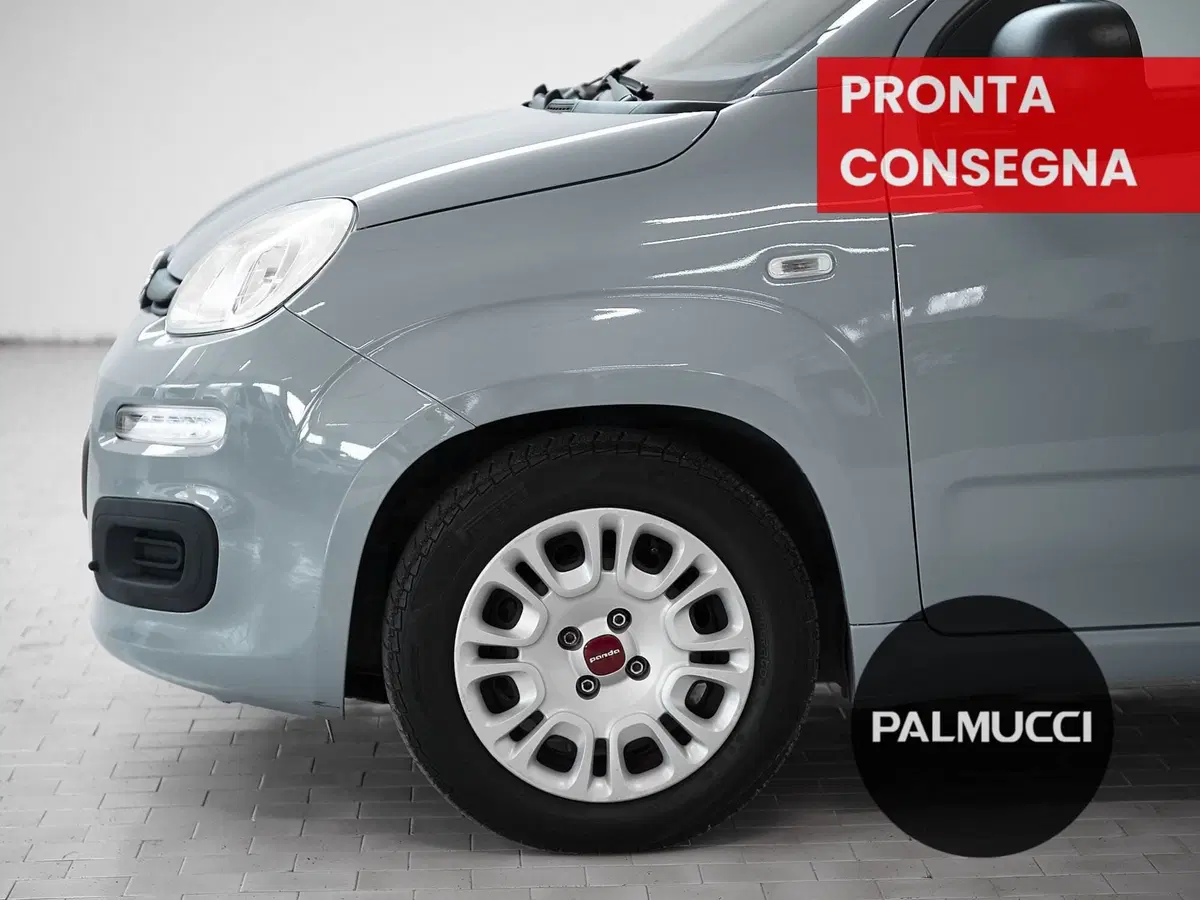 Fiat Panda Cross usata a Prato (9)