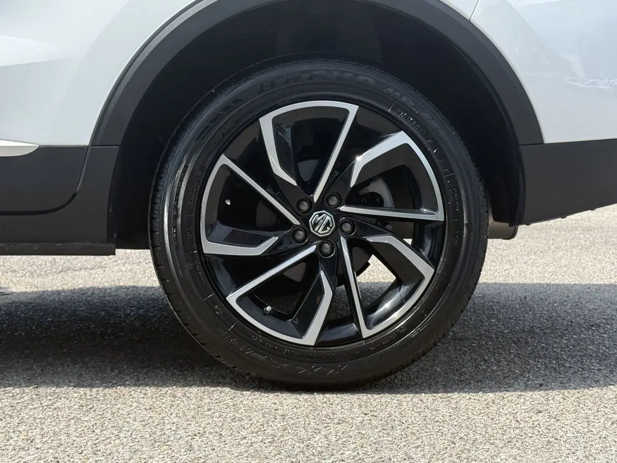 Mg ZS usata a Perugia (11)