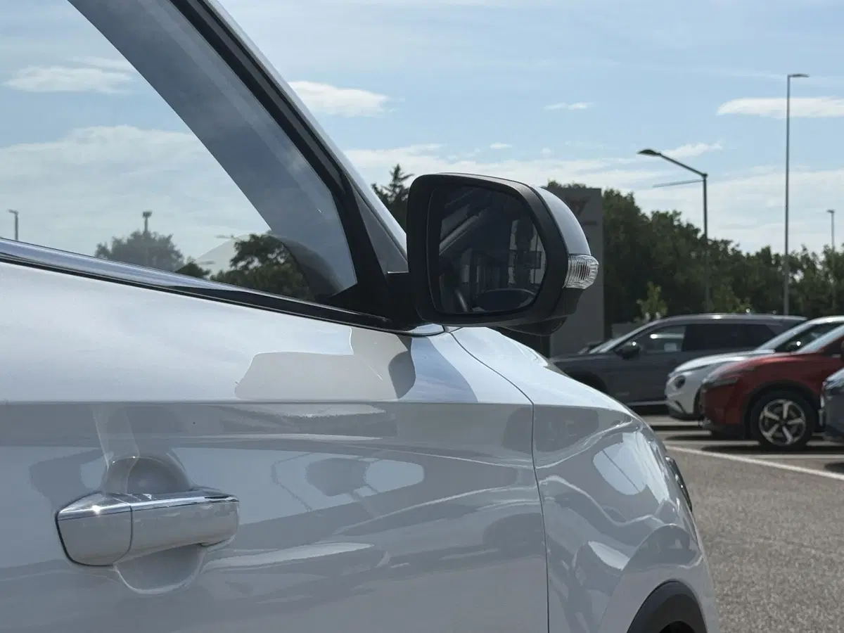 Mg ZS usata a Perugia (13)