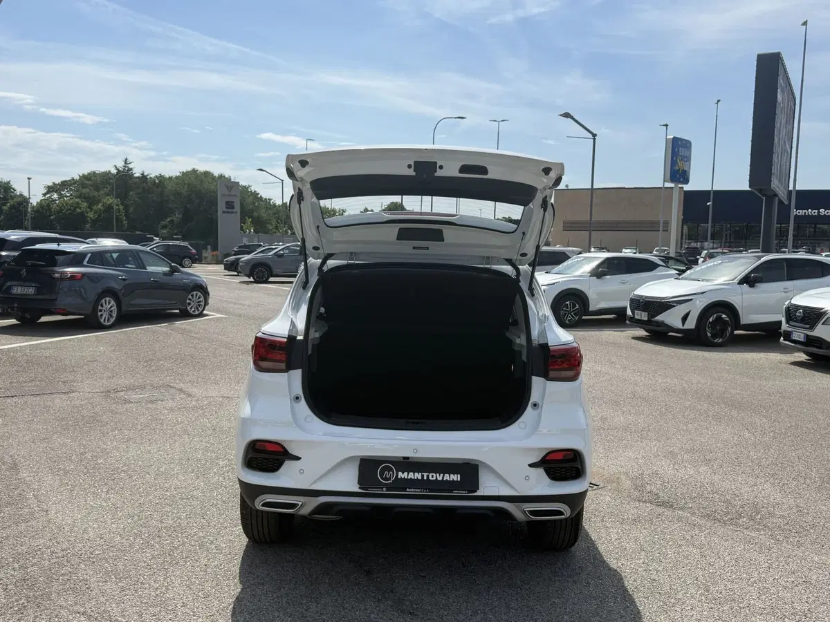 Mg ZS usata a Perugia (15)