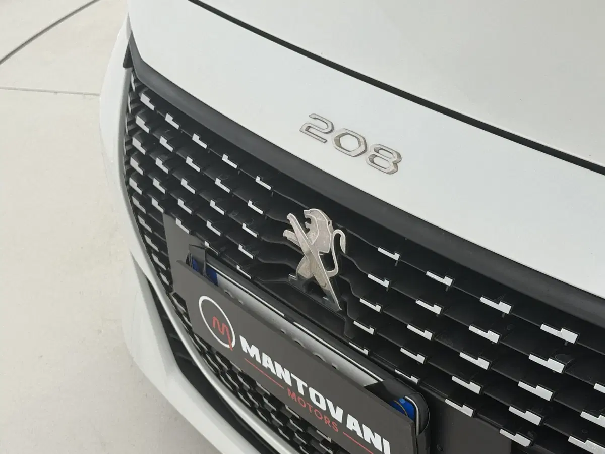 Peugeot 208 usata a Perugia (19)