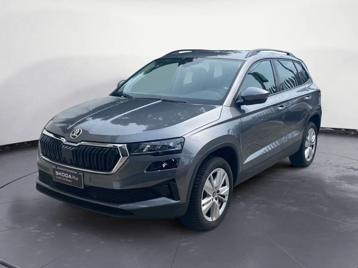 Skoda Karoq usata a Catanzaro