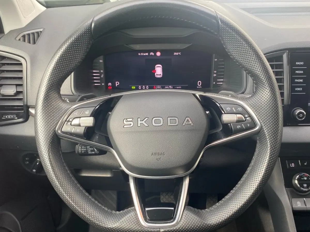 Skoda Karoq usata a Catanzaro (10)