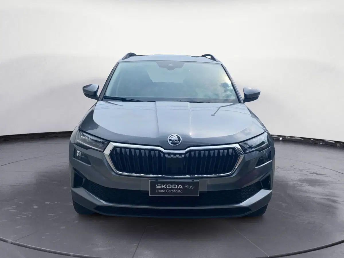 Skoda Karoq usata a Catanzaro (2)