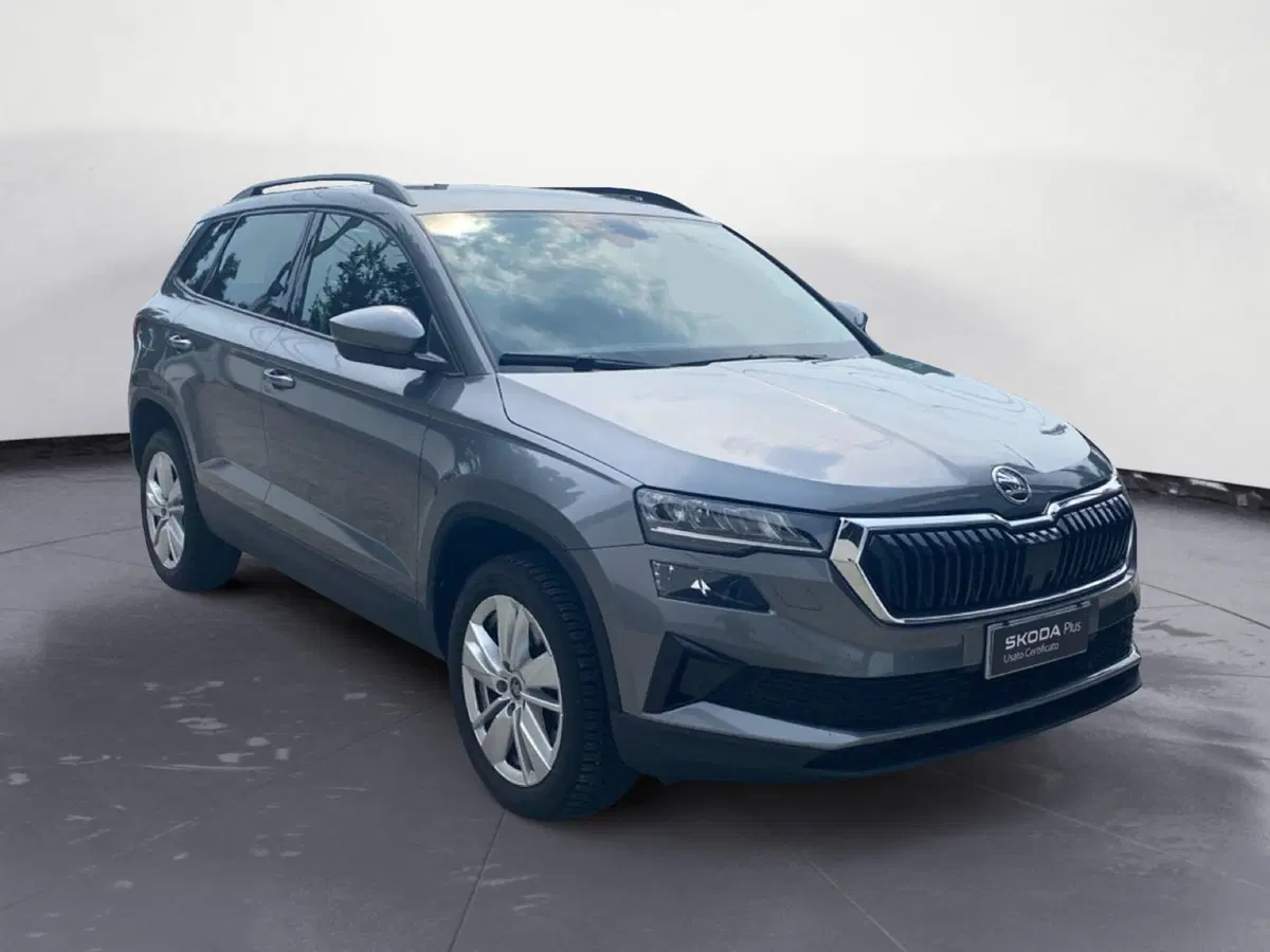 Skoda Karoq usata a Catanzaro (3)
