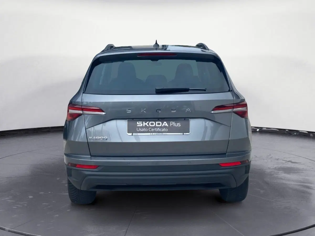 Skoda Karoq usata a Catanzaro (6)