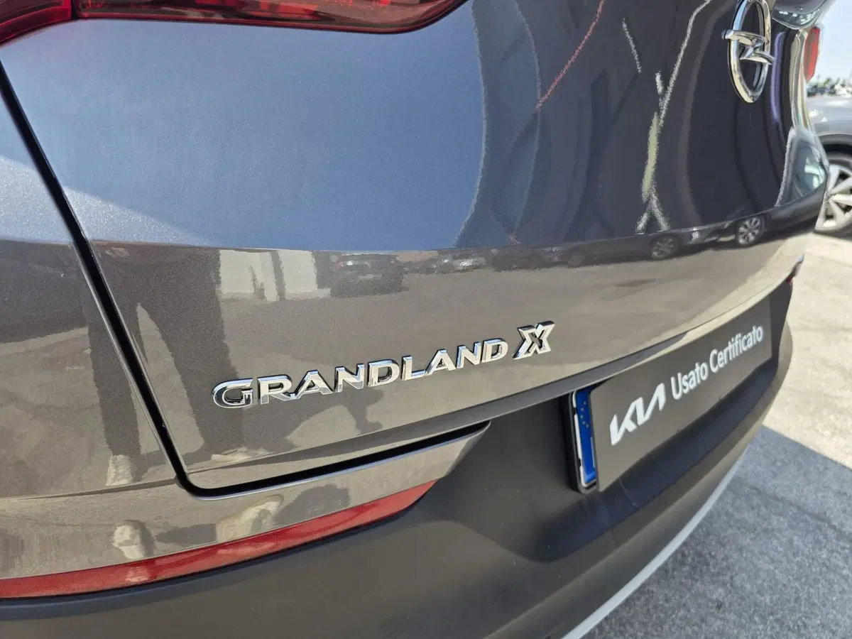Opel Grandland X usata a Rimini (10)