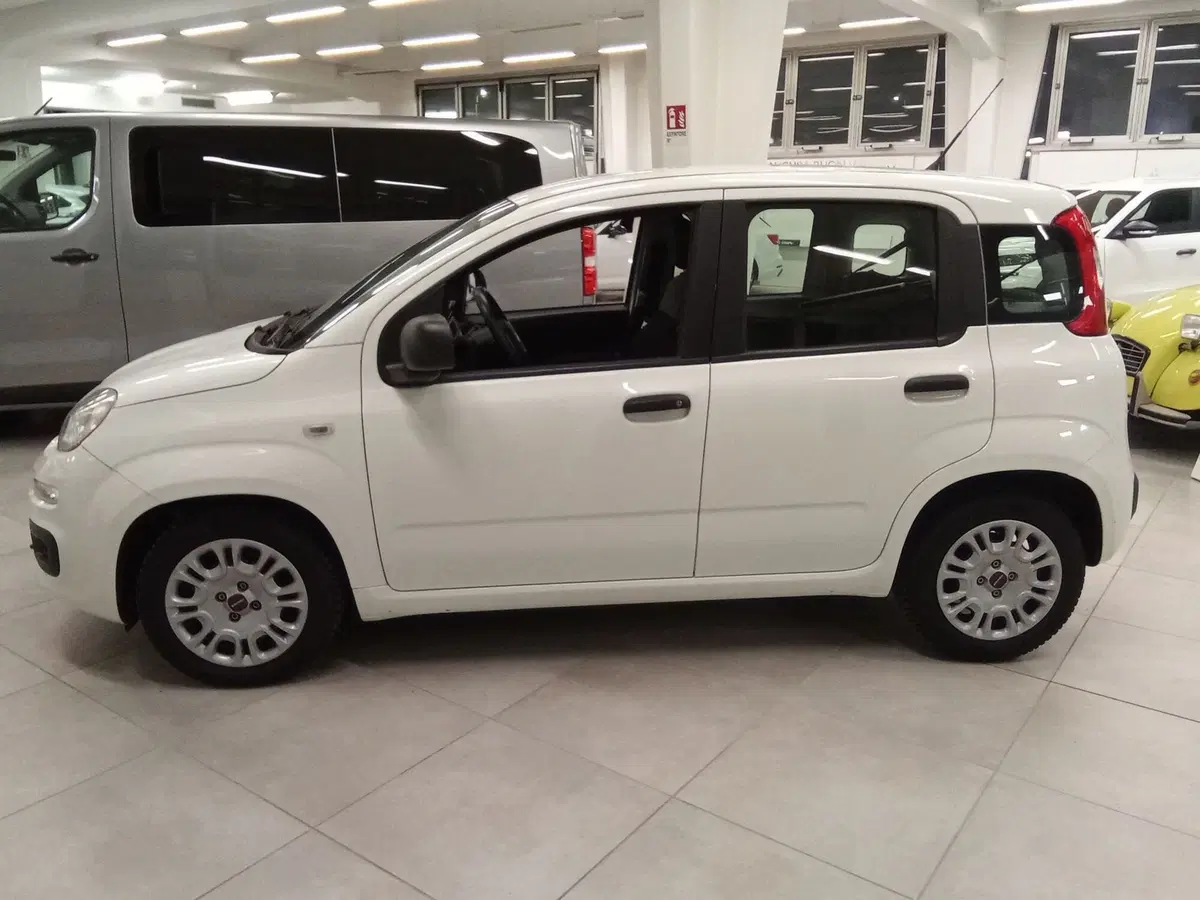 Fiat Panda Cross usata a Rimini (3)