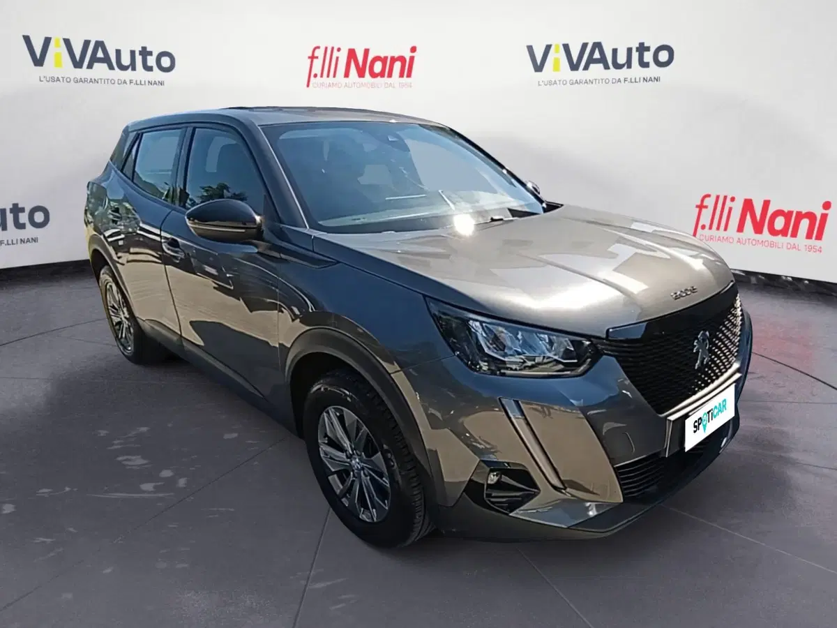 Peugeot 2008 usata a Massa-Carrara (19)