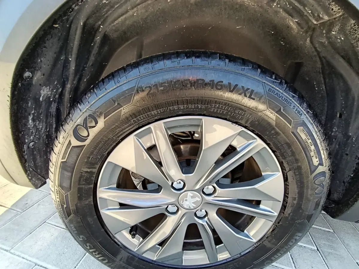 Peugeot 2008 usata a Massa-Carrara (20)