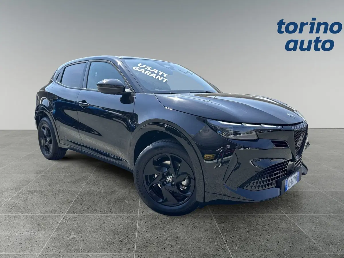 Alfa Romeo Junior usata a Torino