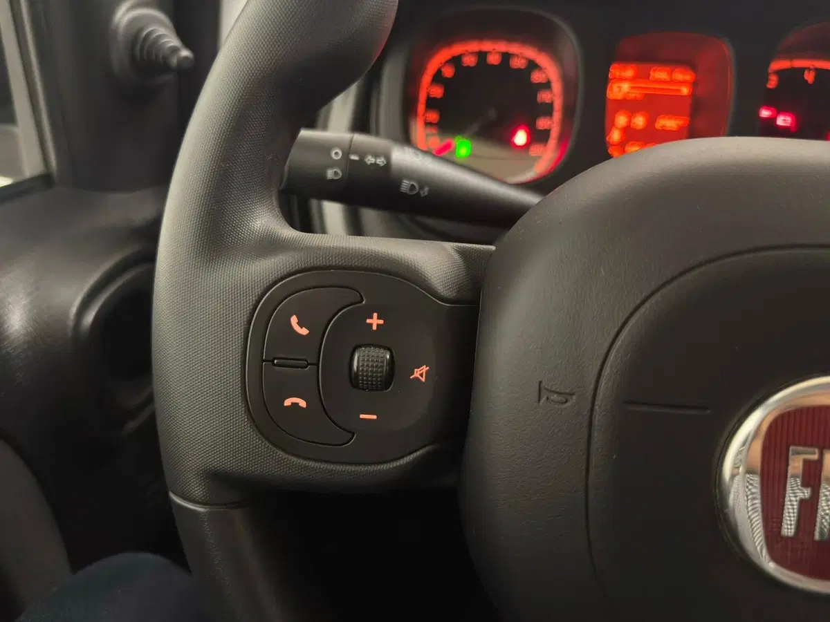 Fiat Panda usata a Verbano Cusio Ossola (18)
