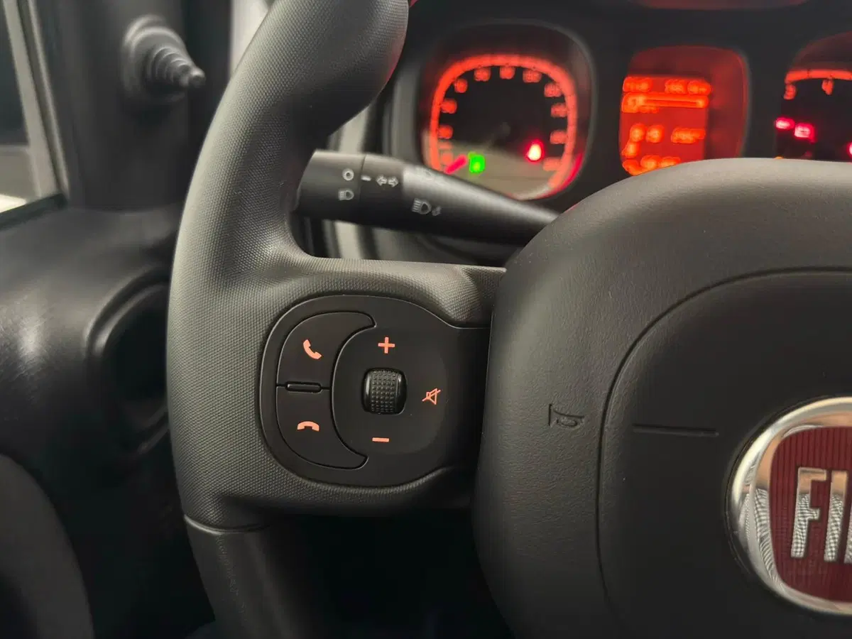 Fiat Panda usata a Verbano Cusio Ossola (19)