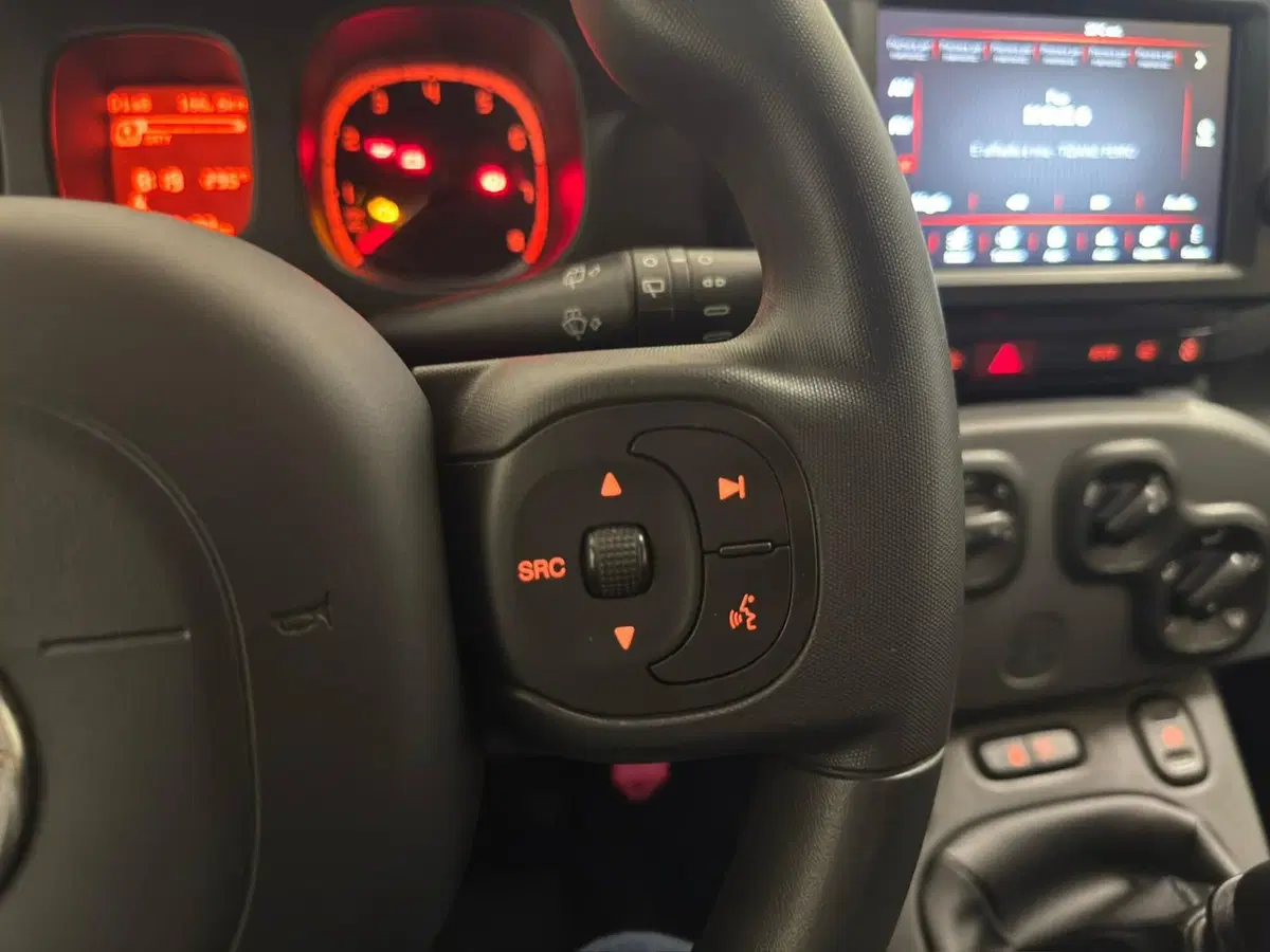 Fiat Panda usata a Verbano Cusio Ossola (20)