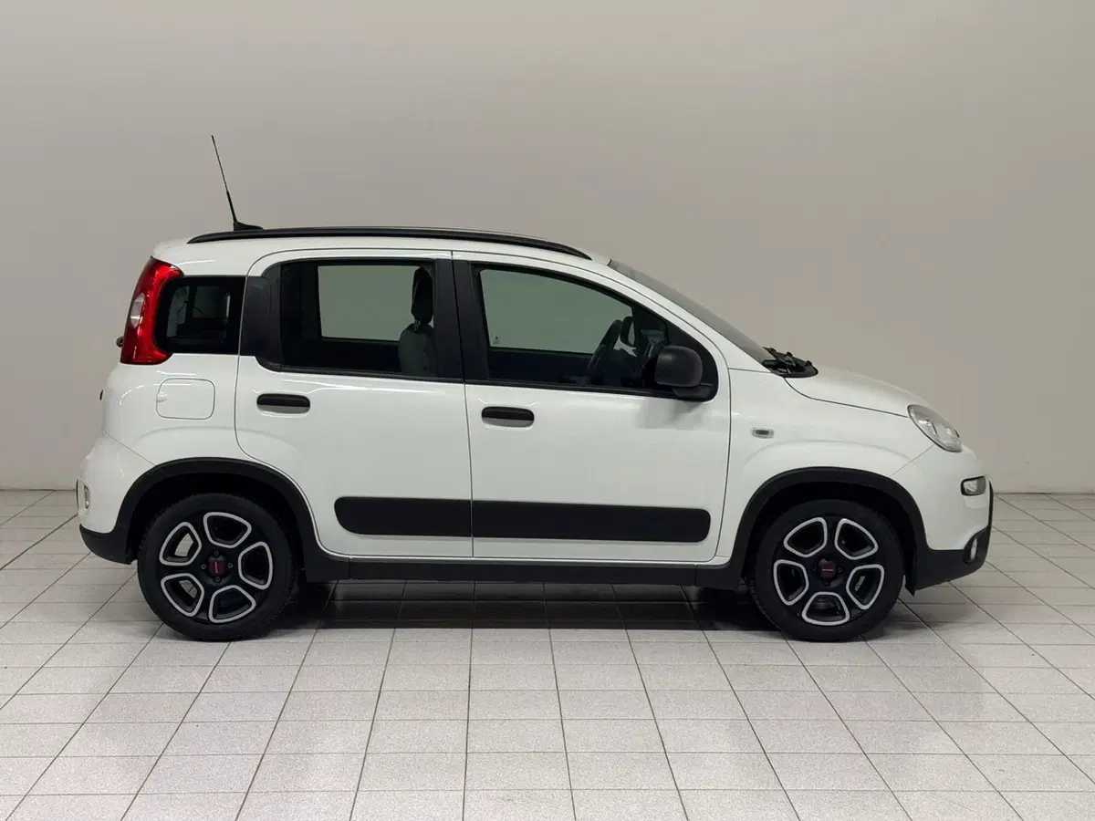 Fiat Panda usata a Verbano Cusio Ossola (6)