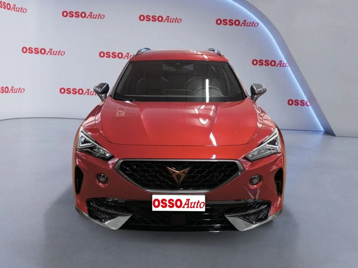 Cupra Formentor usata a Udine (5)