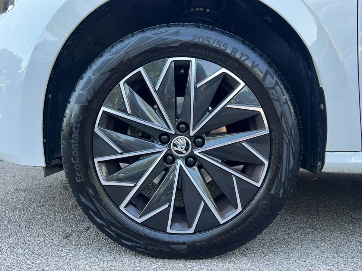 Skoda Kamiq usata a Grosseto (9)