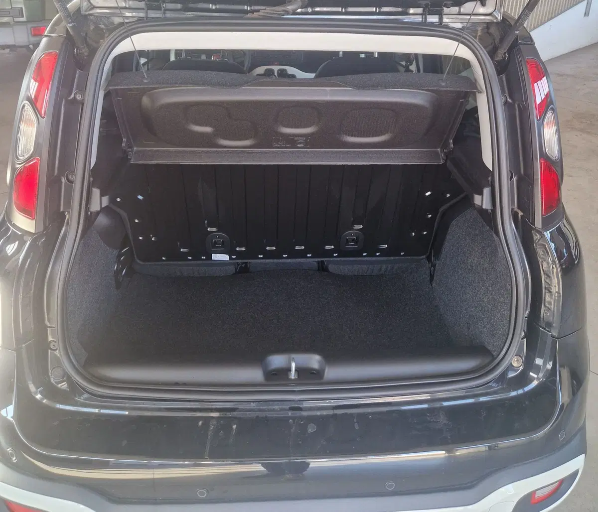 Fiat Panda Cross usata a Terni (10)