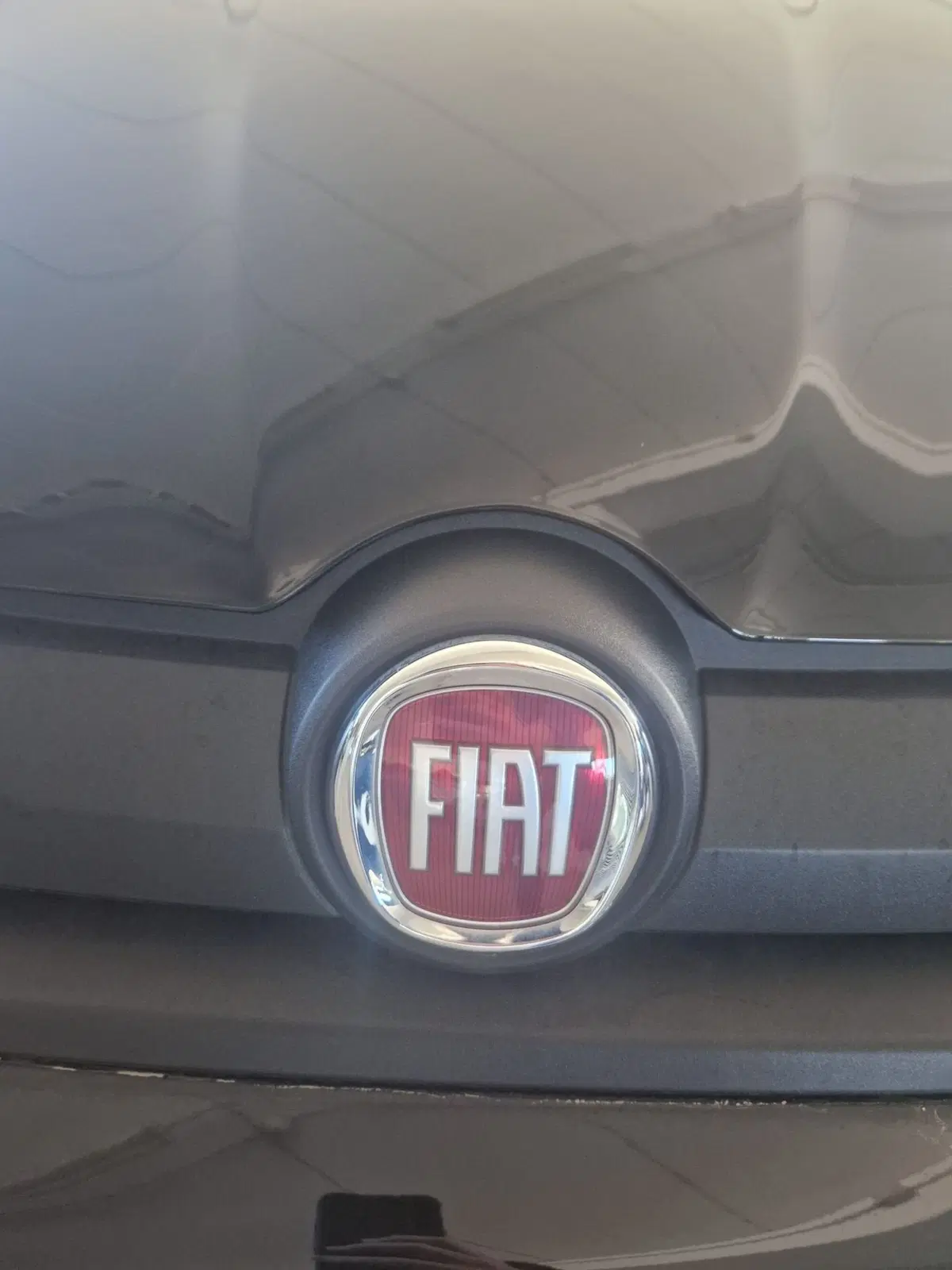 Fiat Panda Cross usata a Terni (20)
