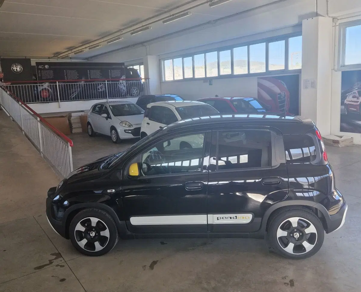 Fiat Panda Cross usata a Terni (3)