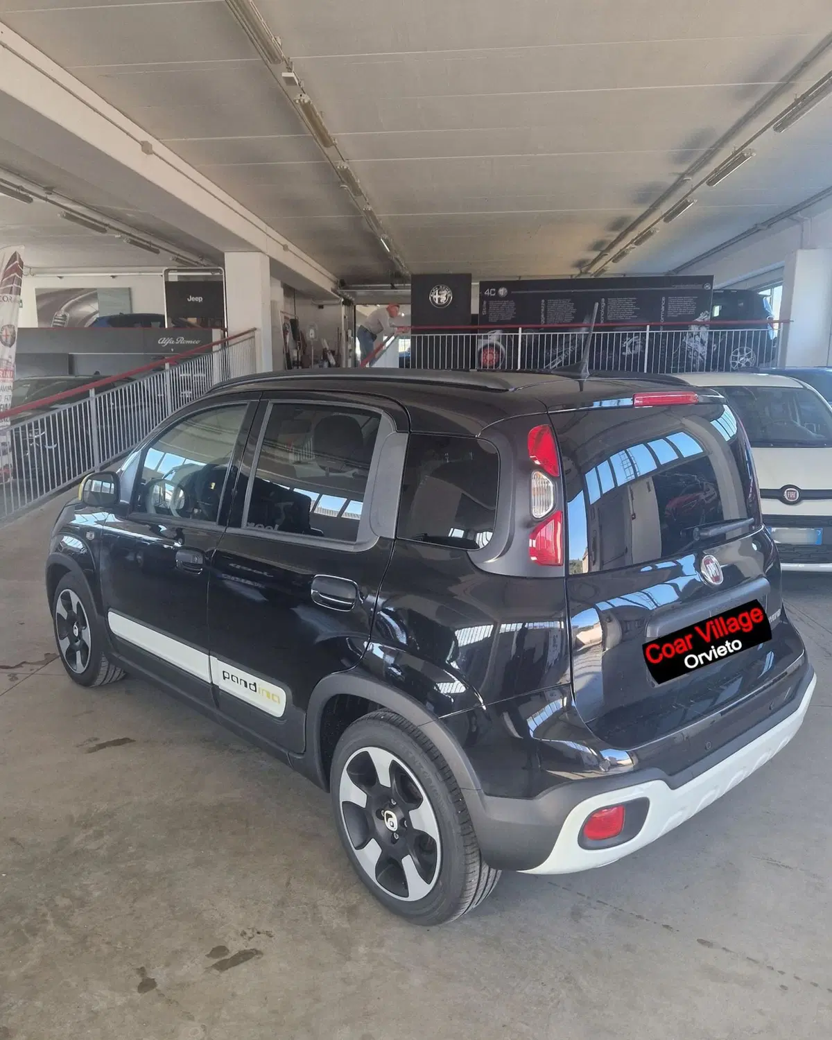 Fiat Panda Cross usata a Terni (4)