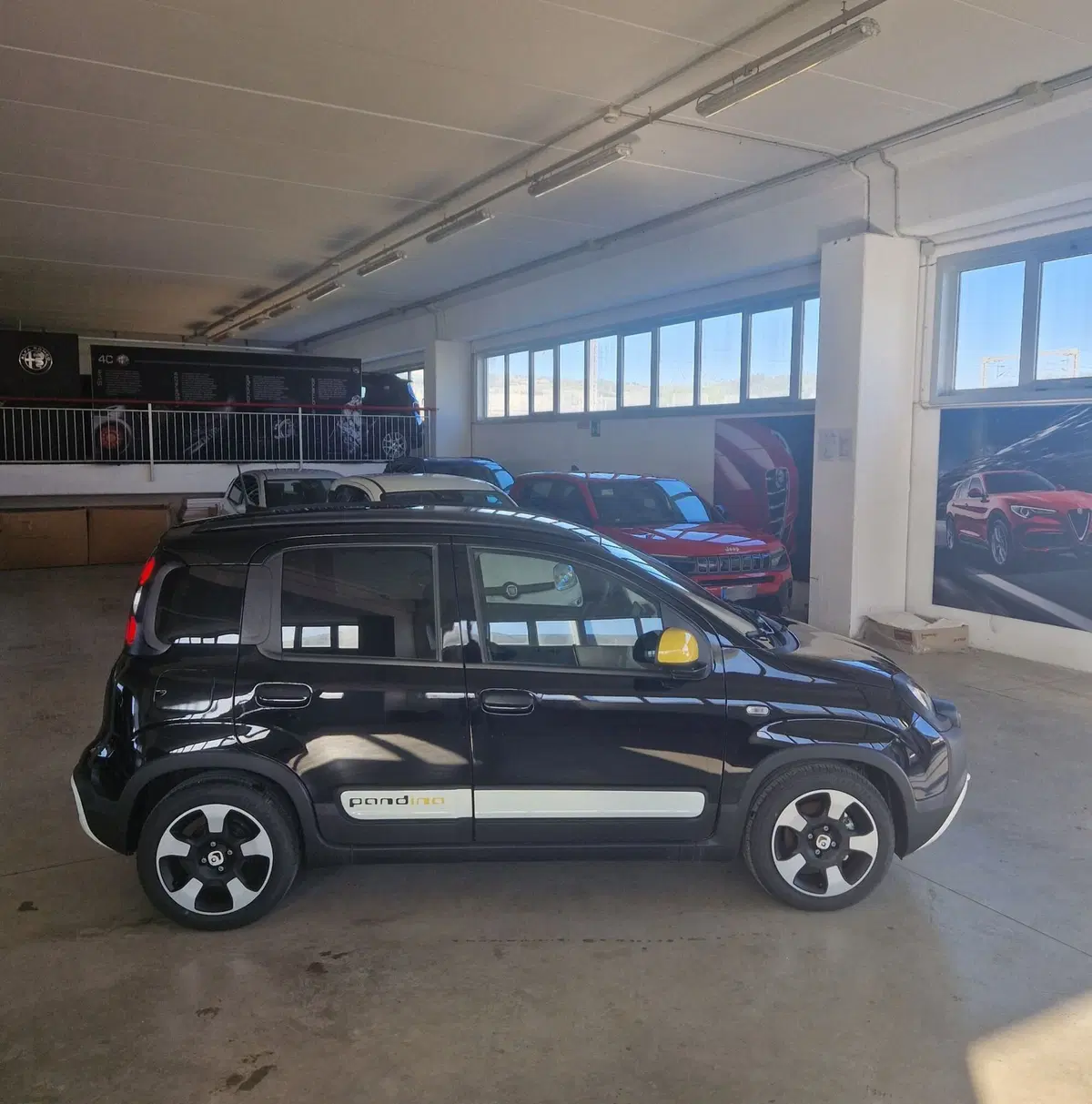 Fiat Panda Cross usata a Terni (6)