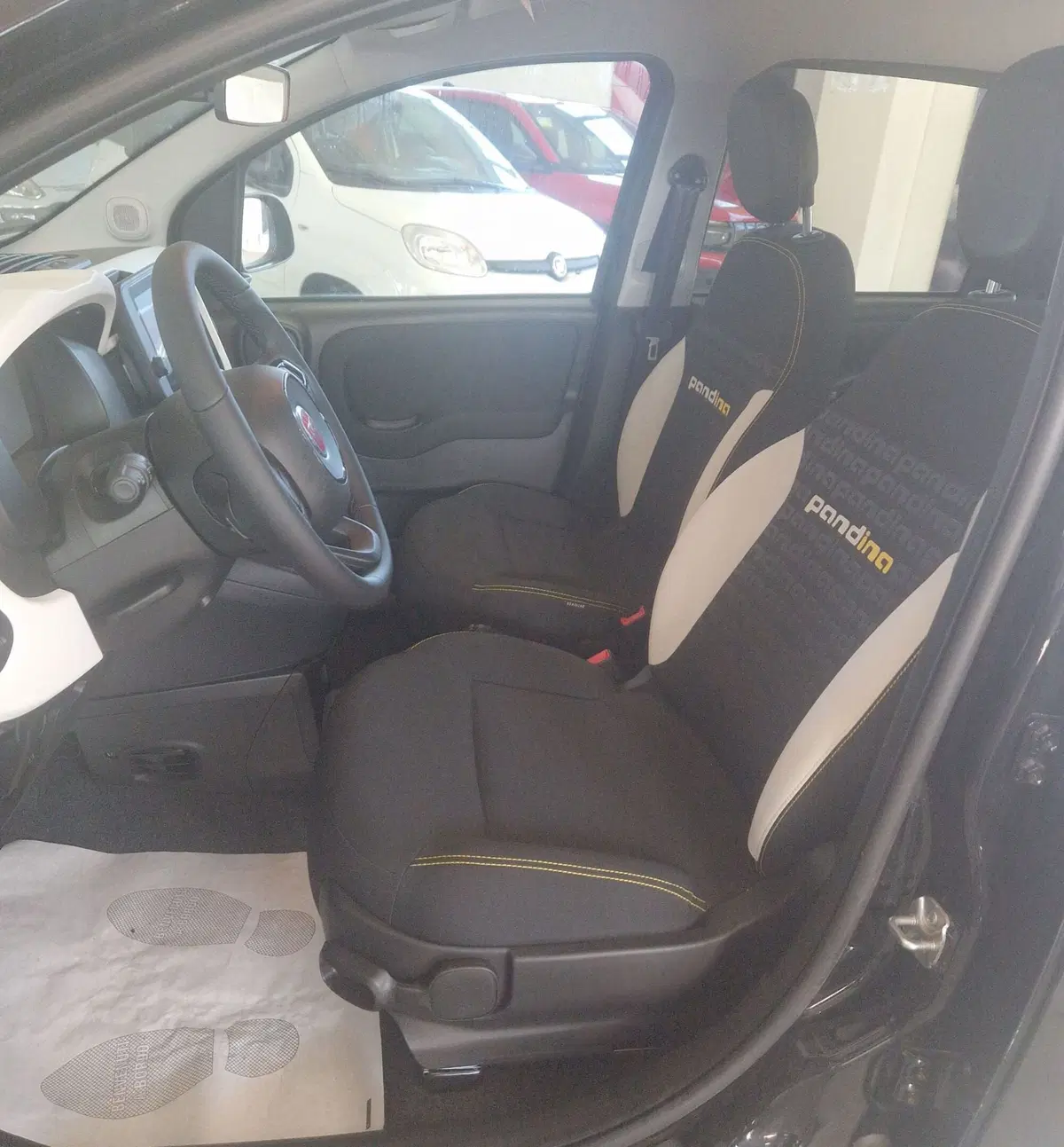 Fiat Panda Cross usata a Terni (7)