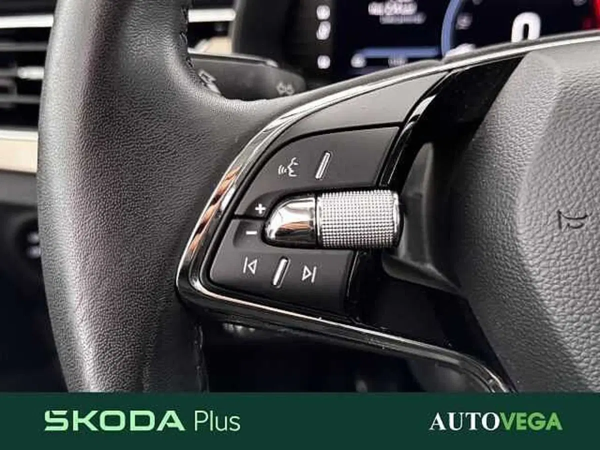 Skoda Kamiq usata a Vicenza (15)