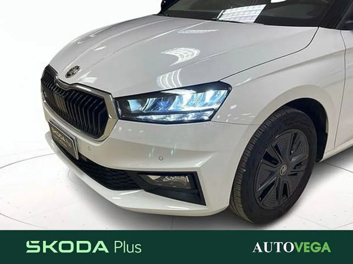 Skoda Fabia usata a Vicenza (19)